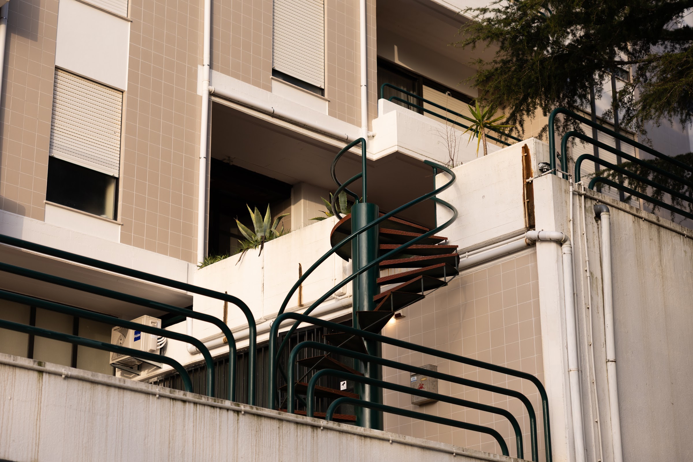 Afonso Henriques