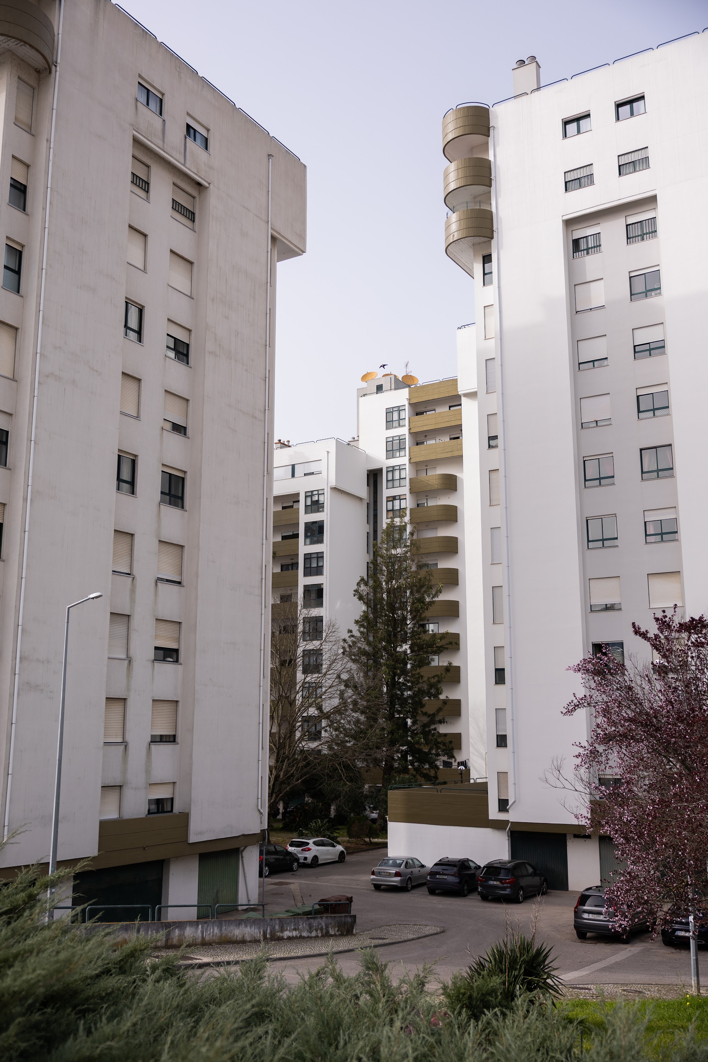 Quinta da Estrela